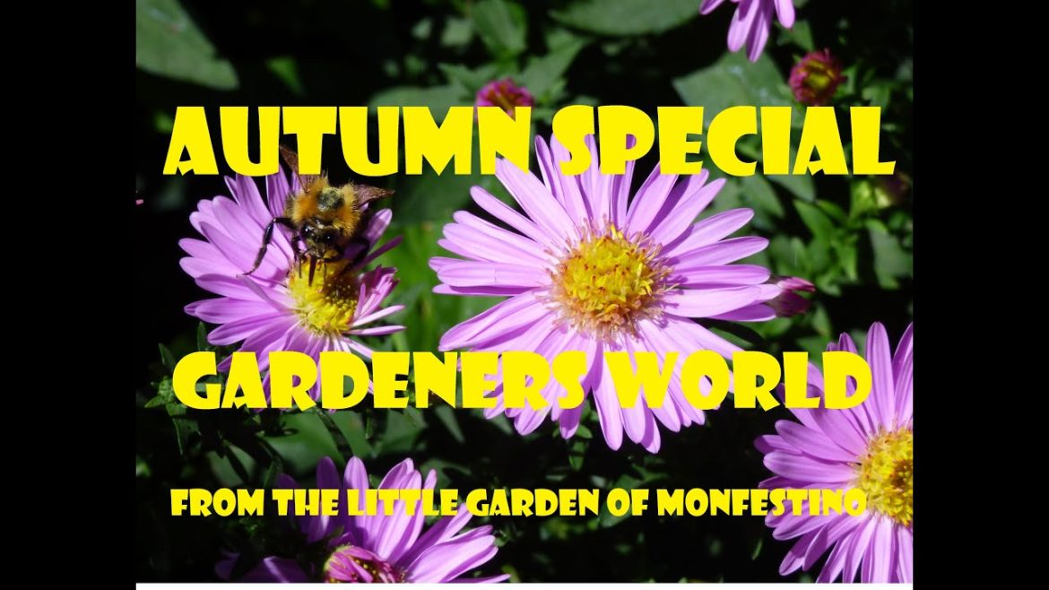 Gardeners World 2022 Autumn Special Episode 27 from The Little Garden of Monfestino