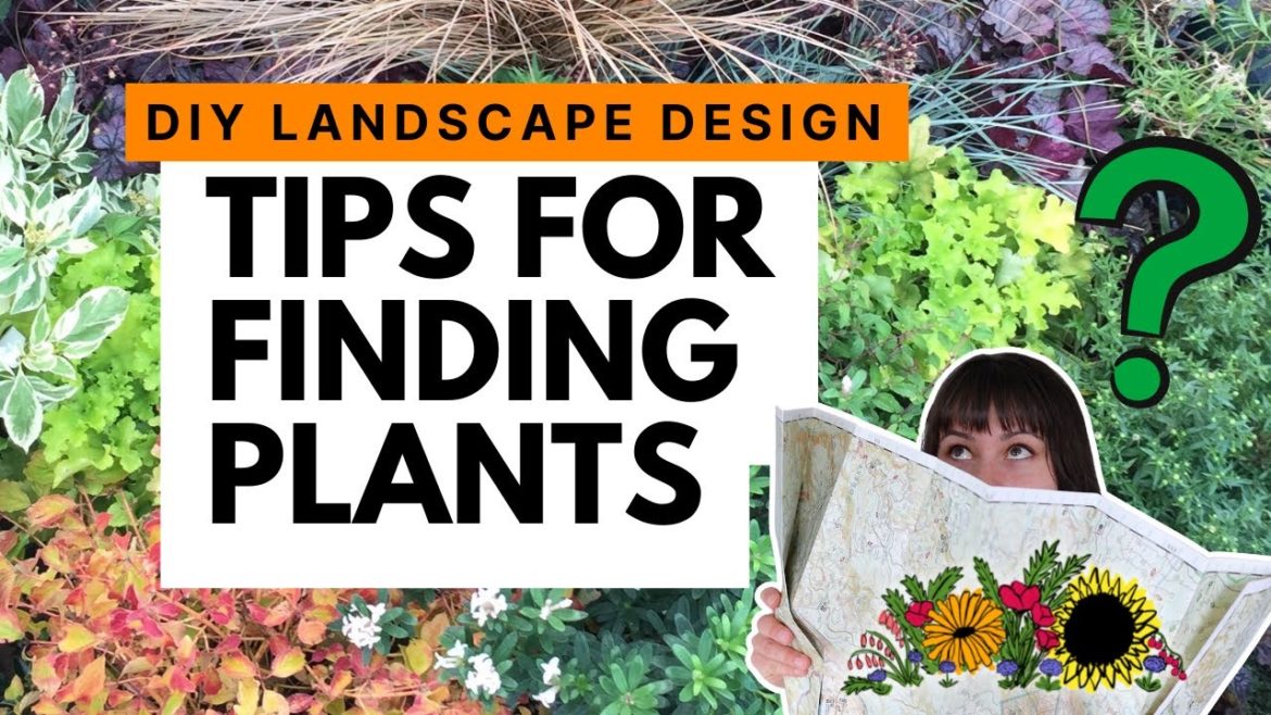 How to find plants for your DIY garden design project 🪴 Creative plant shopping tips How to find plants for your DIY garden design project 🪴 Creative plant shopping tips