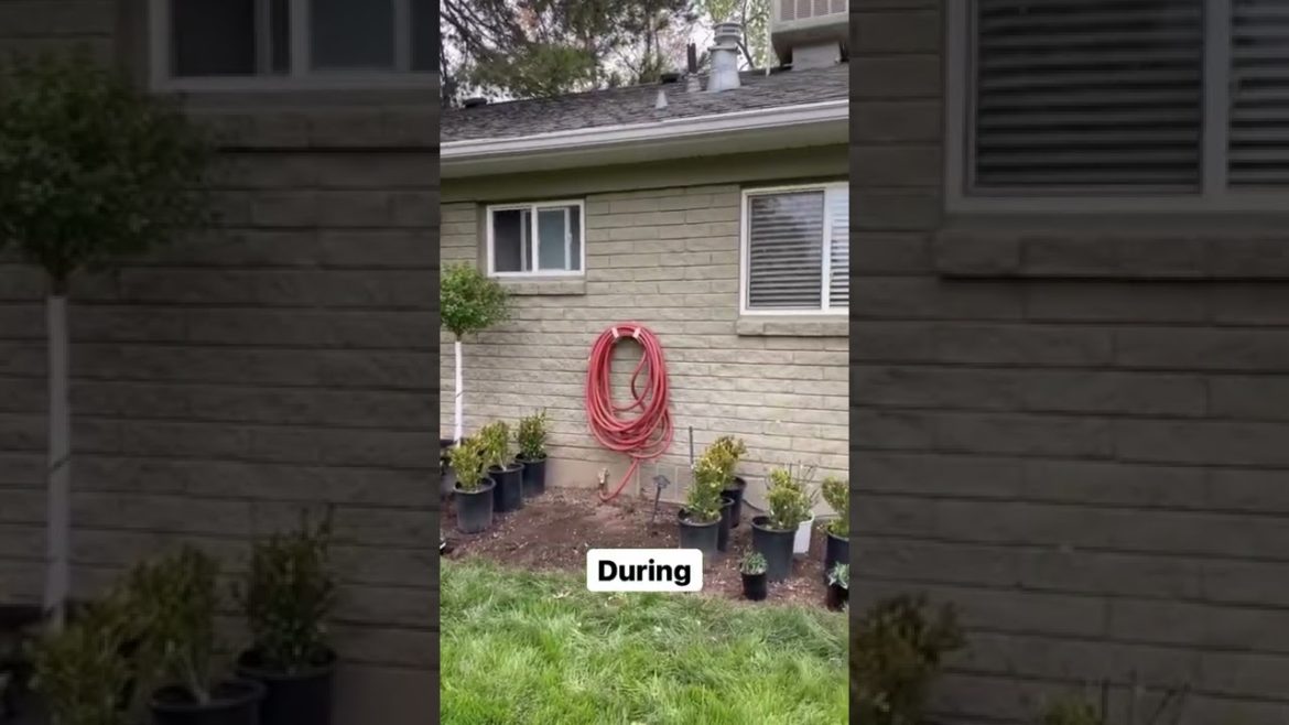 Before And After Planters | Big Rock Premium Landscaping And Design Before And After Planters | Big Rock Premium Landscaping And Design