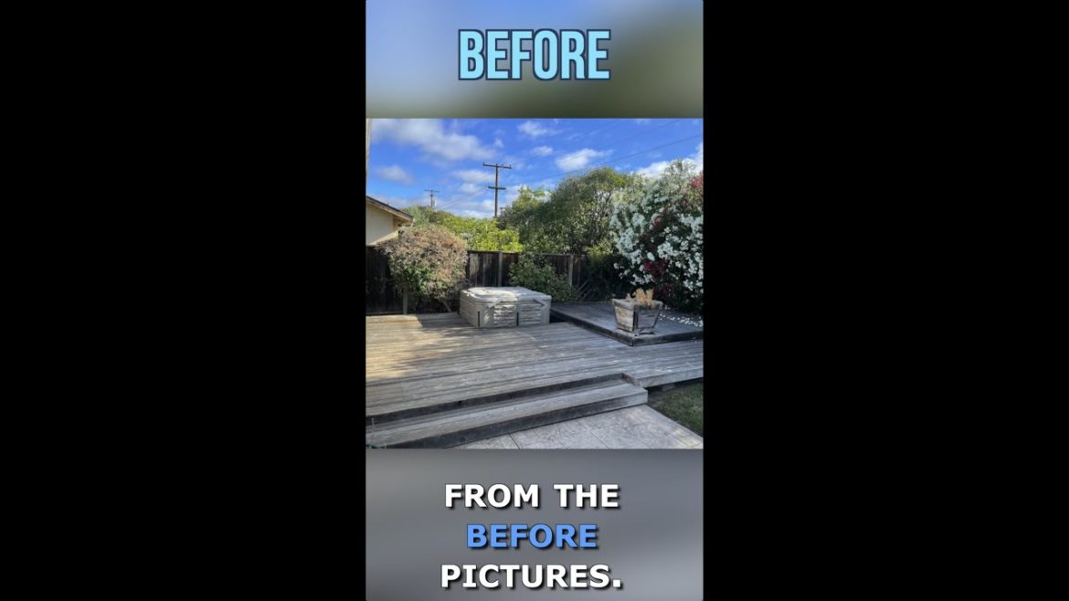 Budget Backyard Renovation Before and After - Backyard Landscaping