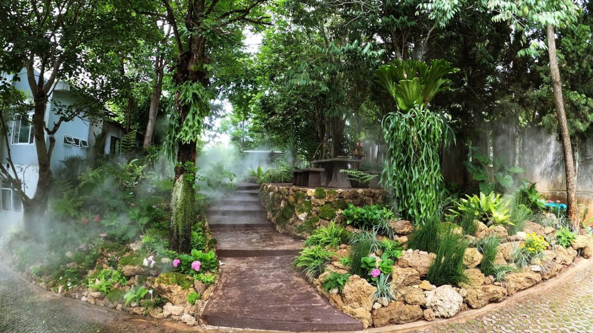 Tropical garden ,Relaxing corner in Front yard Tropical garden ,Relaxing corner in Front yard