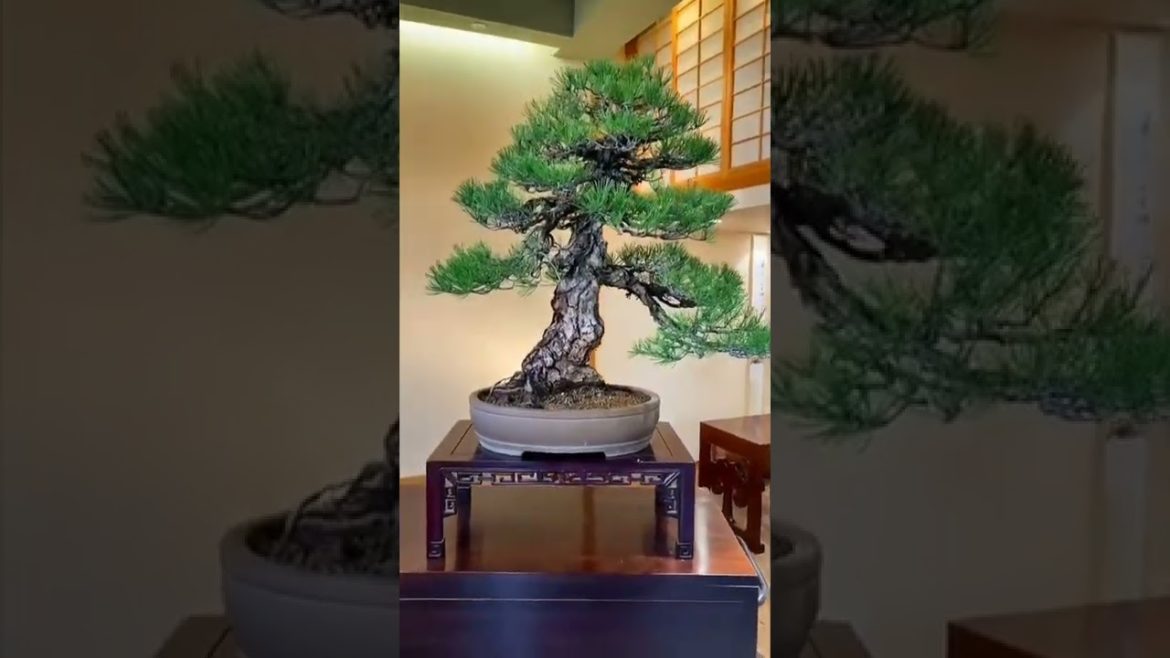 Home Decoration - Business.Lab - The Sitka Channel