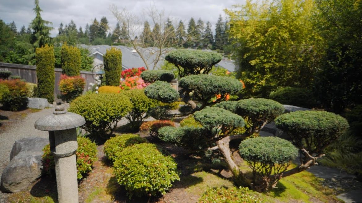 University Place Garden Tour – Japanese Garden University Place Garden Tour - Japanese Garden