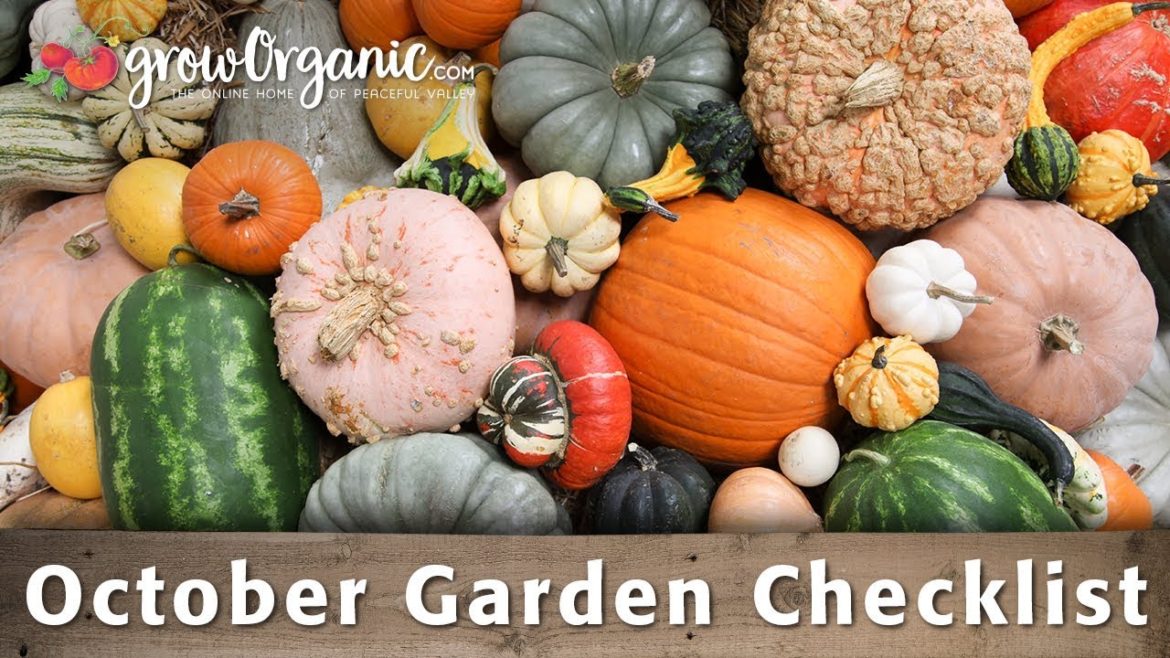 October Gardening Checklist – Things To Do In Your Organic Garden During Fall October Gardening Checklist - Things To Do In Your Organic Garden During Fall
