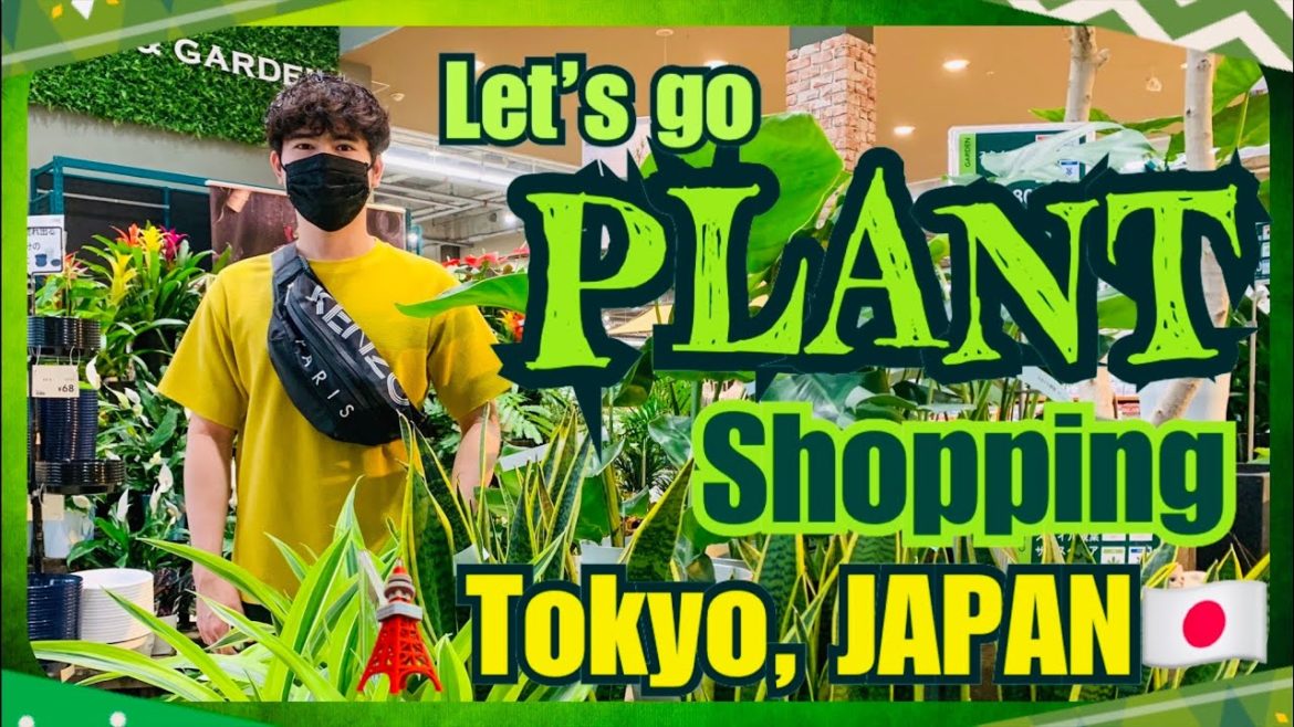 PLANT SHOPPING in TOKYO, JAPAN🇯🇵 | Let's shop for some INDOOR PLANTS! | Plus PLANT HAUL | VLOG 019 PLANT SHOPPING in TOKYO, JAPAN🇯🇵 | Let's shop for some INDOOR PLANTS! | Plus PLANT HAUL | VLOG 019