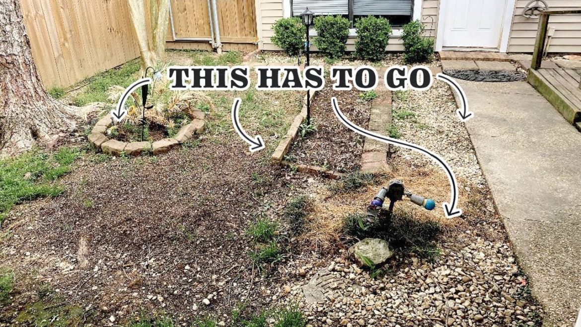 *EXTREME* SMALL backyard LANDSCAPE Makeover 2021 | Renovating my BACKYARD with NO EXPERIENCE