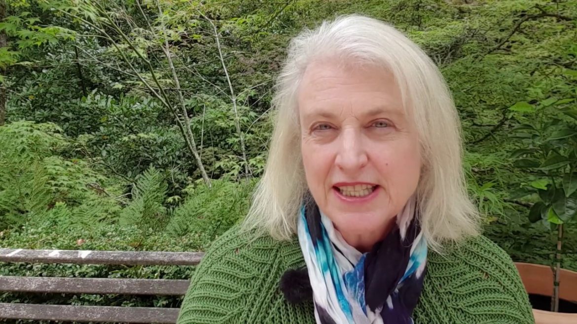 Garden inspiration – 8 great ideas from two private gardens Garden inspiration - 8 great ideas from two private gardens