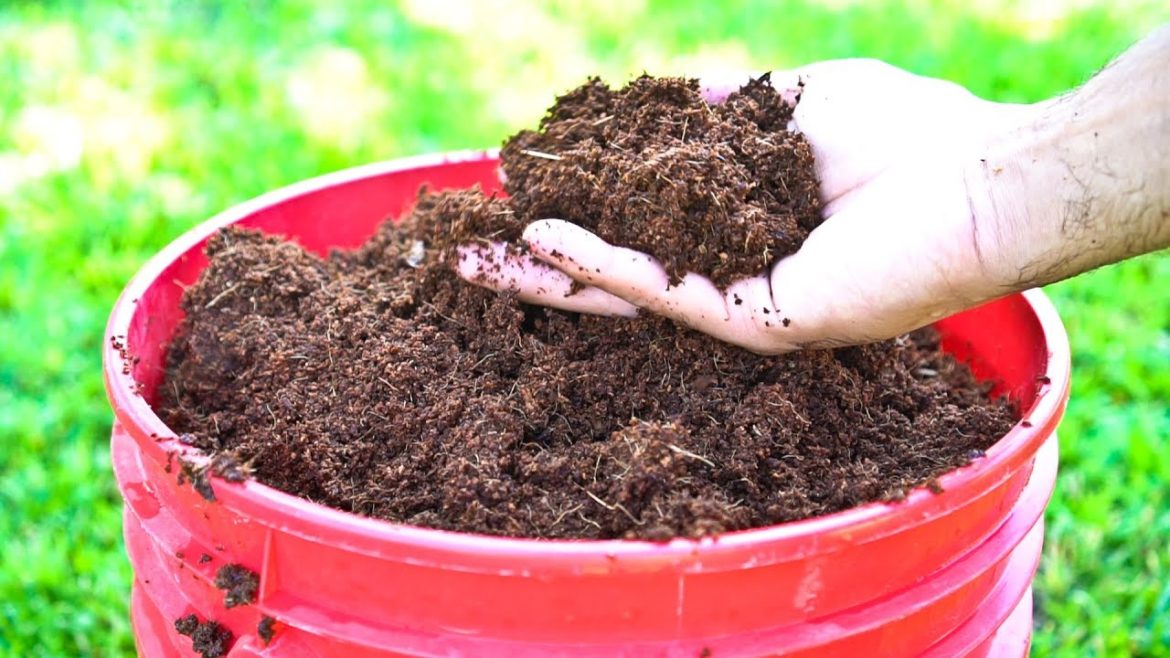 5 Benefits of Coconut Coir in Gardening 5 Benefits of Coconut Coir in Gardening