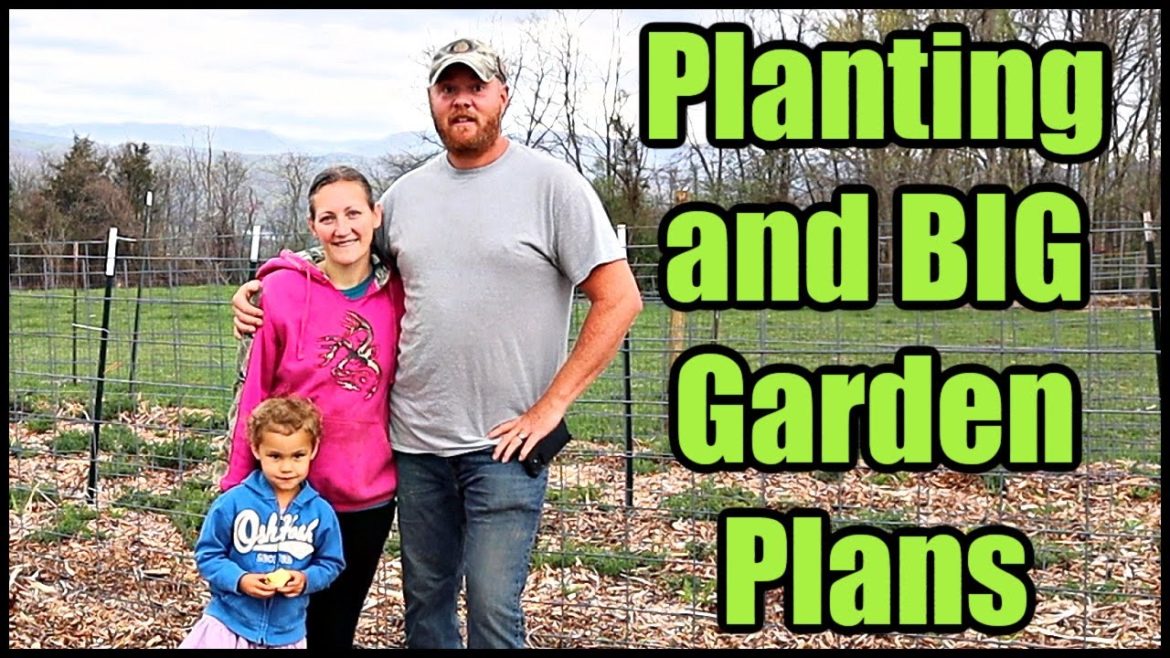 Planting and Big Garden Plans Planting and Big Garden Plans