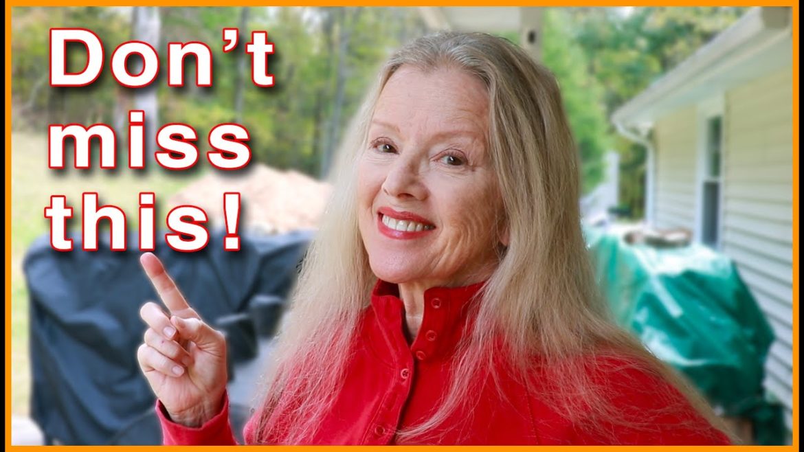 What HAPPENED to my PEANUTS? (and MORE from August)