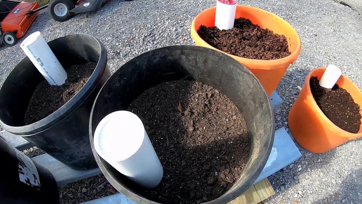 How To Self Watering Container Garden