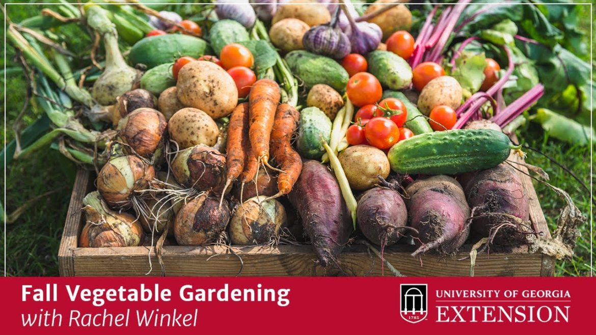 Fall Vegetable Gardening with an Athens-Area Master Gardener
