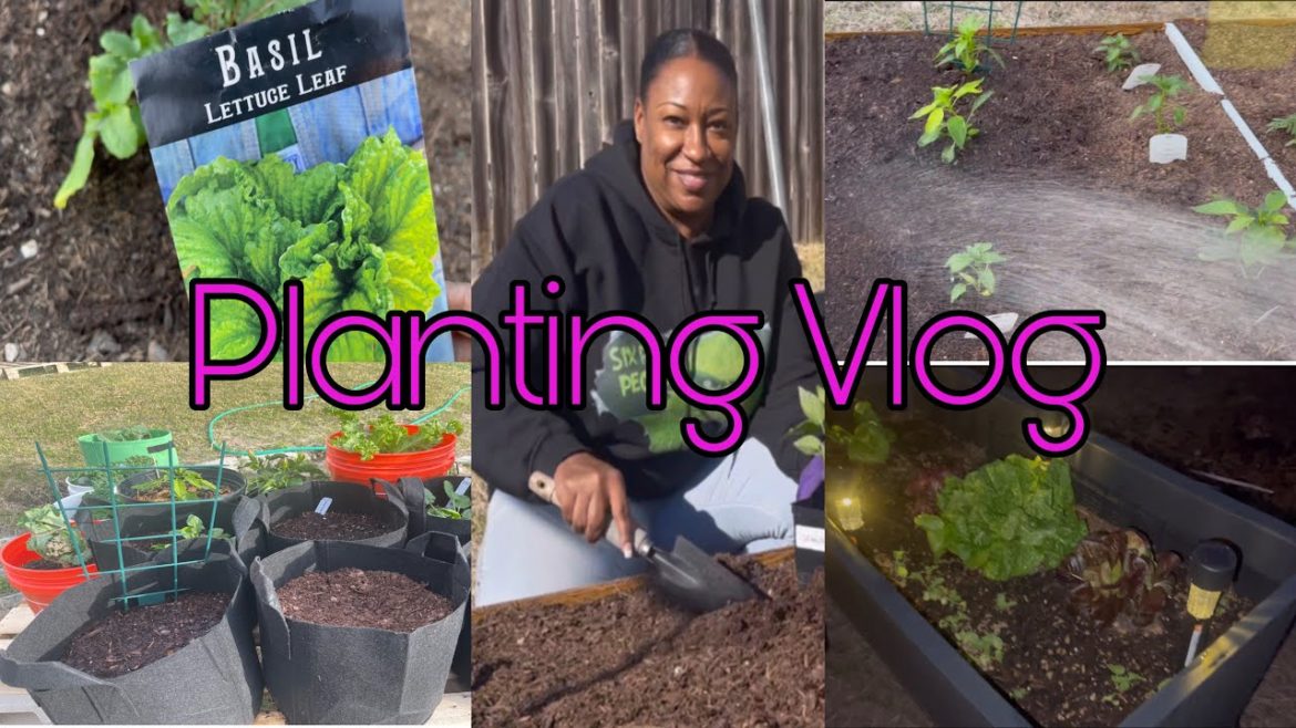 Vlog | New Garden Center Tour + Container Garden Set up + chit chat Vlog | New Garden Center Tour + Container Garden Set up + chit chat