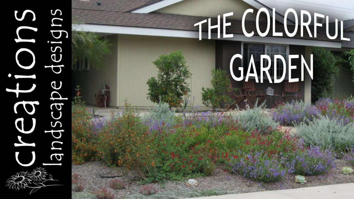 Front Yard Garden In Fountain Valley