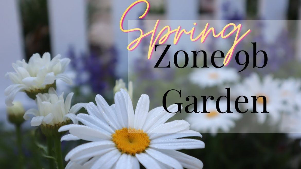 May Garden Update: Zone 9b: What's Growing and Vegetable Garden Plans: Florida Cottage Garden May Garden Update: Zone 9b: What's Growing and Vegetable Garden Plans: Florida Cottage Garden