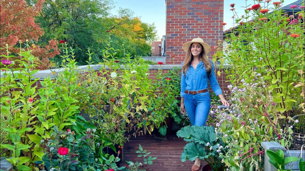 October Container Garden Tour | Rooftop Balcony Garden