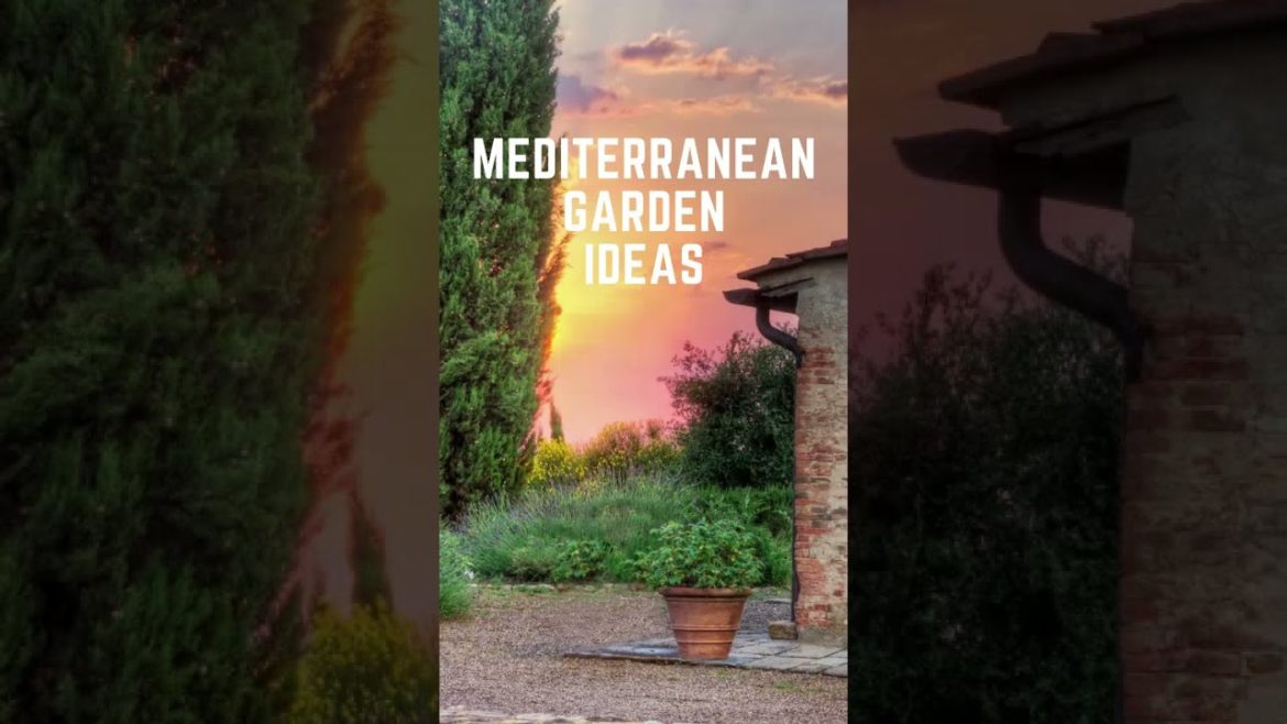 Mediterranean Garden Design Ideas #YoutubeShorts #Shorts Landscape Design Makeover & Garden Reno