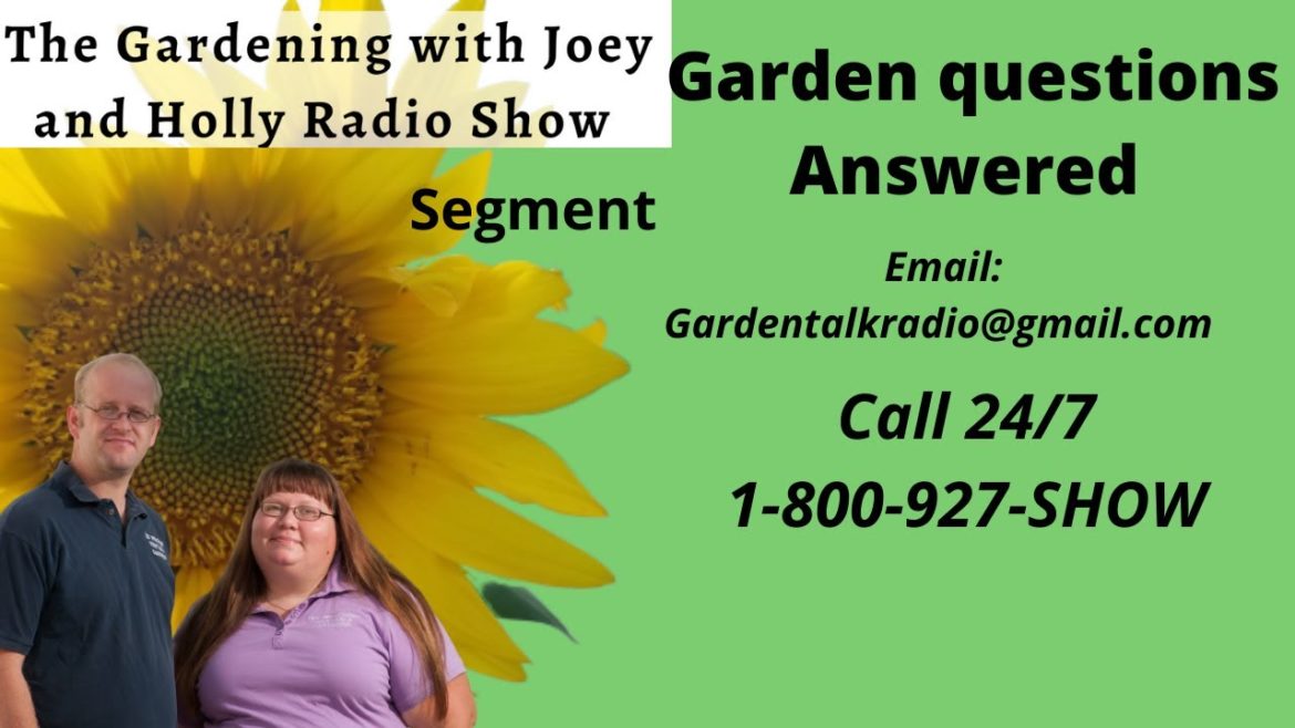 Segment 4 of S6E31 Garden question answered early Oct - The Gardening with Joey and Holly Radio Show