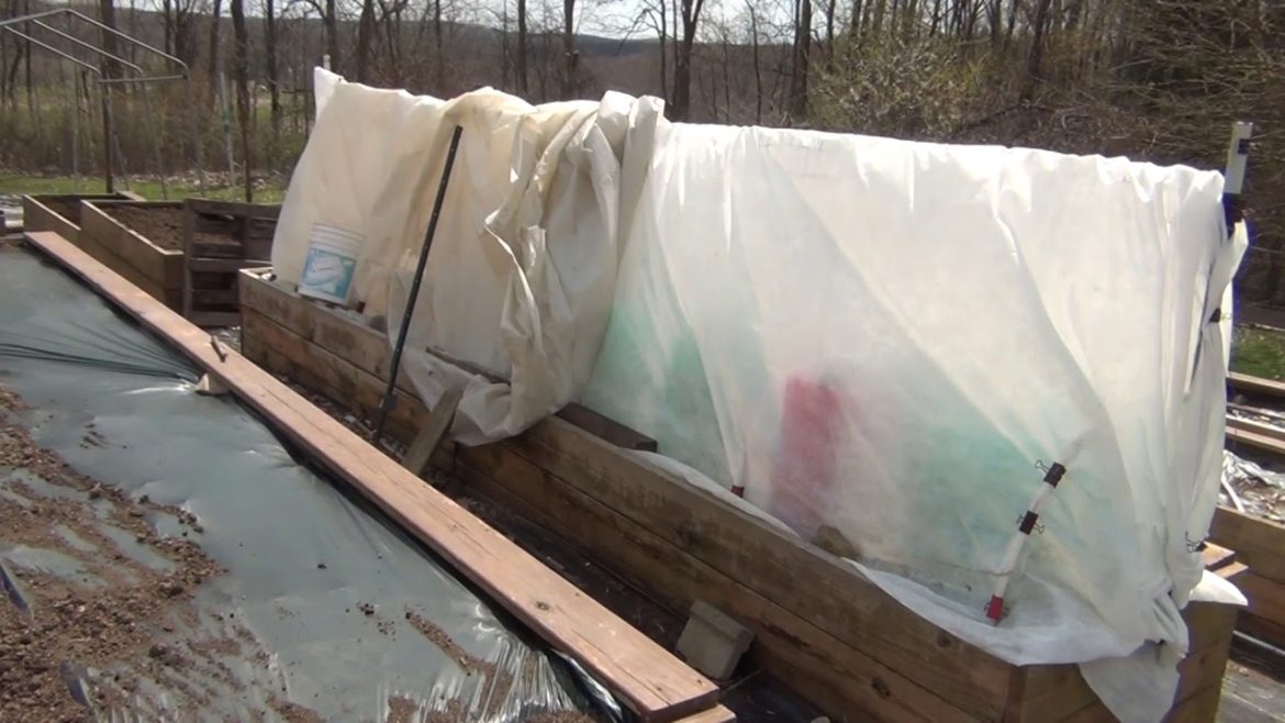 Garden Plans for Raised Beds 2020