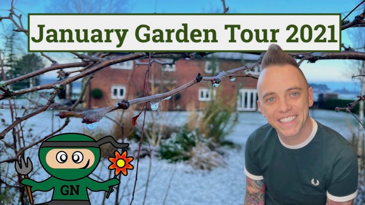 January Garden Tour 2021: Frozen ground, snowdrops and winter gardening tips January Garden Tour 2021: Frozen ground, snowdrops and winter gardening tips