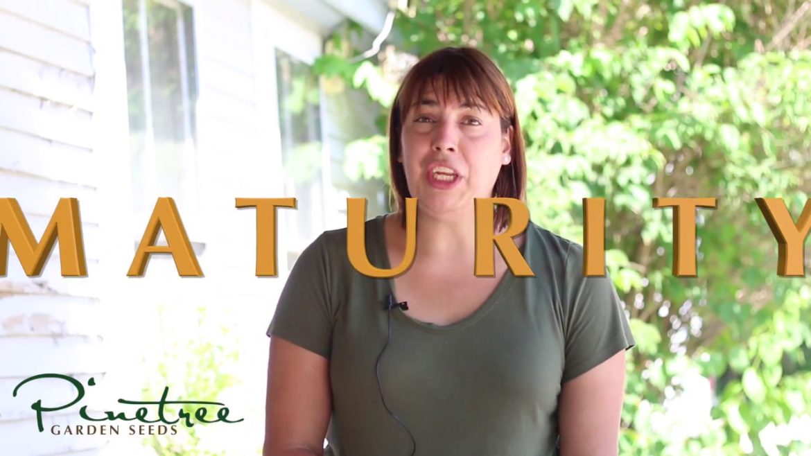 Garden Tips and Tricks: Planting a Fall Garden