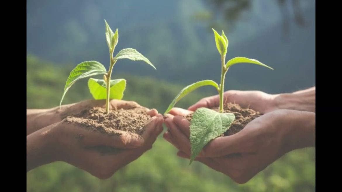 Calgary Landscaping | Front Yard Landscaping ideas | Landscaping Ideas | Backyard Landscaping |