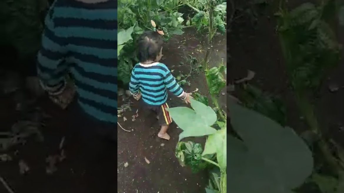 cute baby video 2022 |jcb cartoon video  |indian baby video 2022#shorts#ytshorts