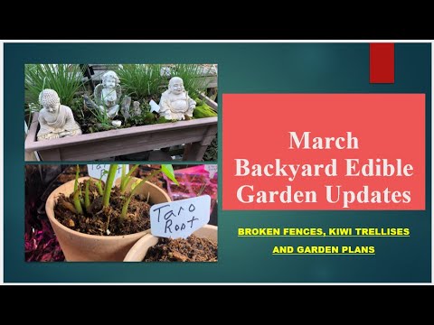 Late March Garden Updates | Garden Plans | Beds, Fencing & Trellises Late March Garden Updates | Garden Plans | Beds, Fencing & Trellises