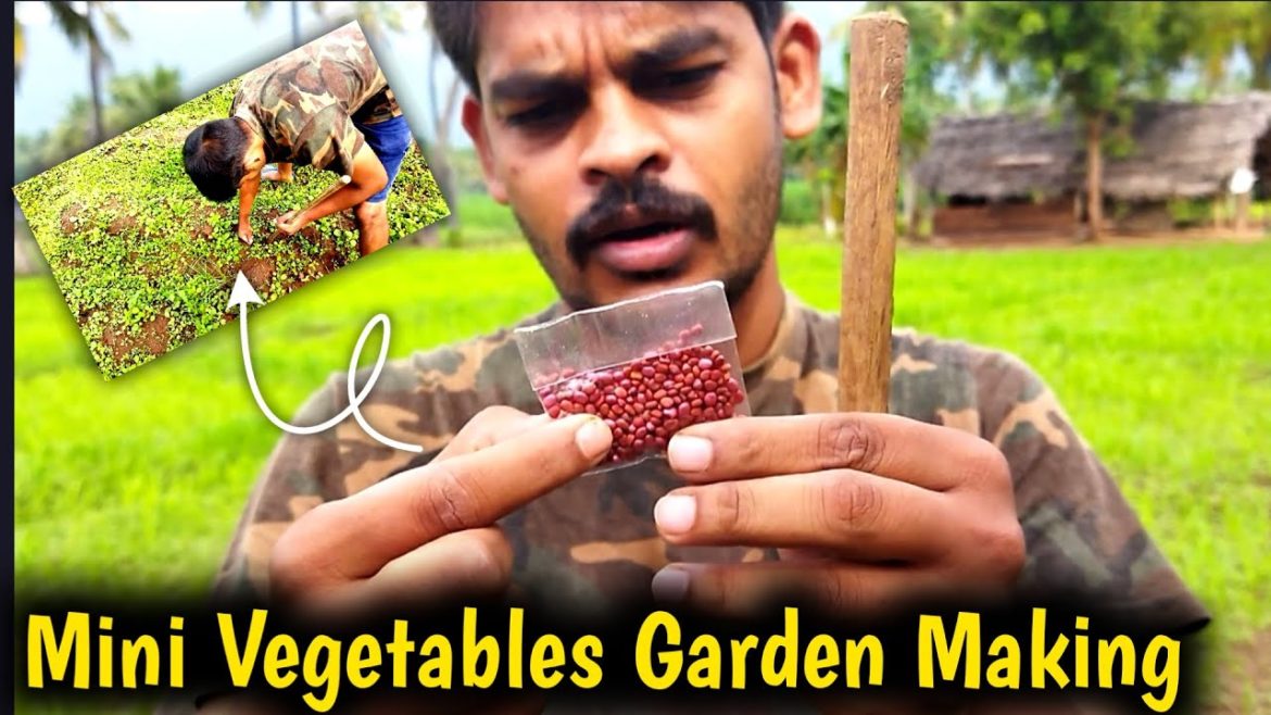 Mini Vegetable Gardening Ideas | Gardening Tips | Garden Tour Mini Vegetable Gardening Ideas | Gardening Tips | Garden Tour