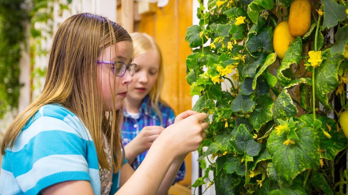 Classroom Gardening with the Edible Learning Lab
