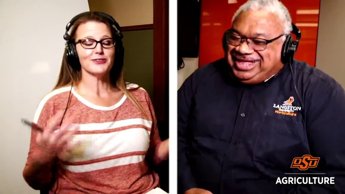 Oklahoma Gardening Podcast #404 with Micah Anderson and Vegetable Gardening Oklahoma Gardening Podcast #404 with Micah Anderson and Vegetable Gardening