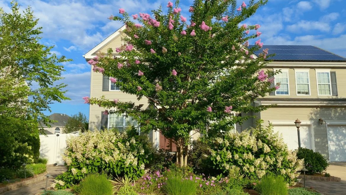 Mid Summer Garden Tour: Front Yard Gardens