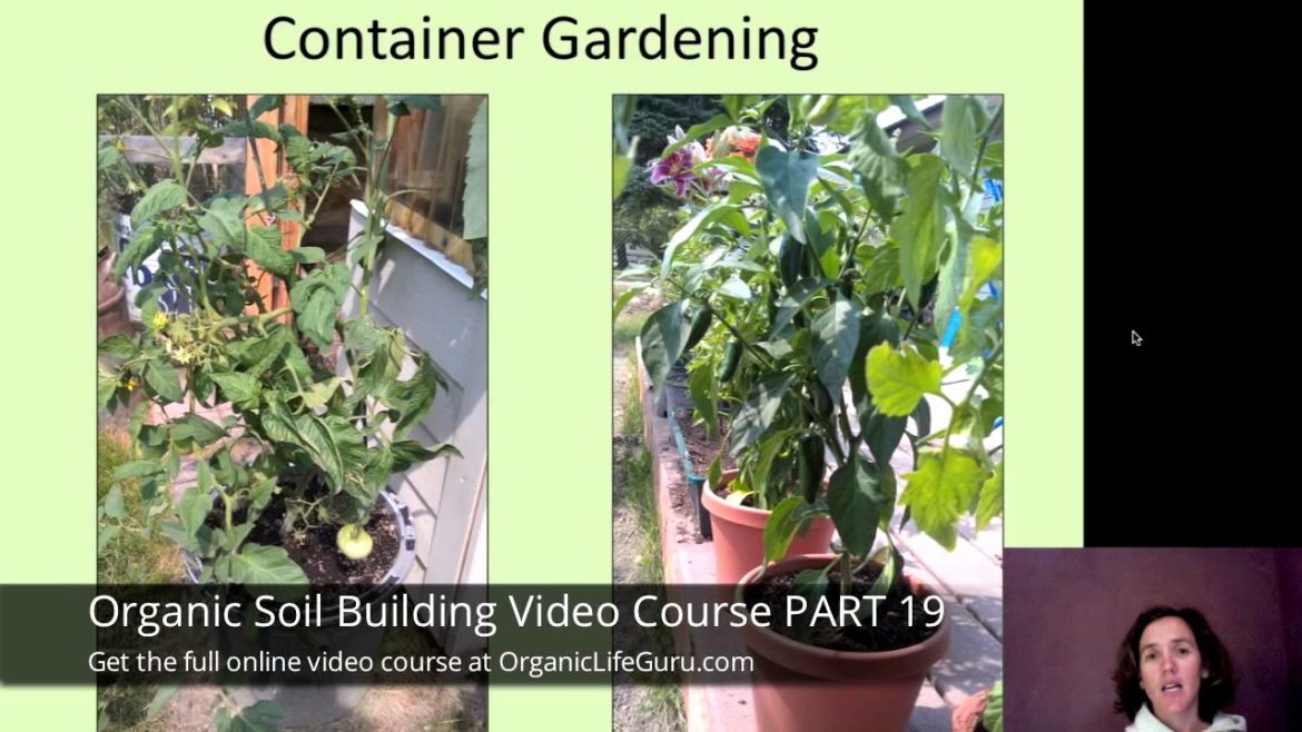 Backyard Organic Container Gardening