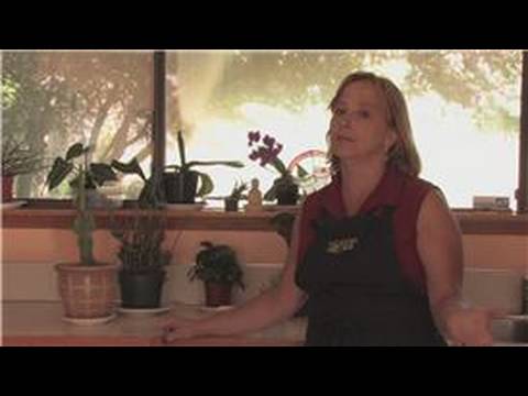 Gardening Tips : How to Make Indoor Window Gardens Gardening Tips : How to Make Indoor Window Gardens