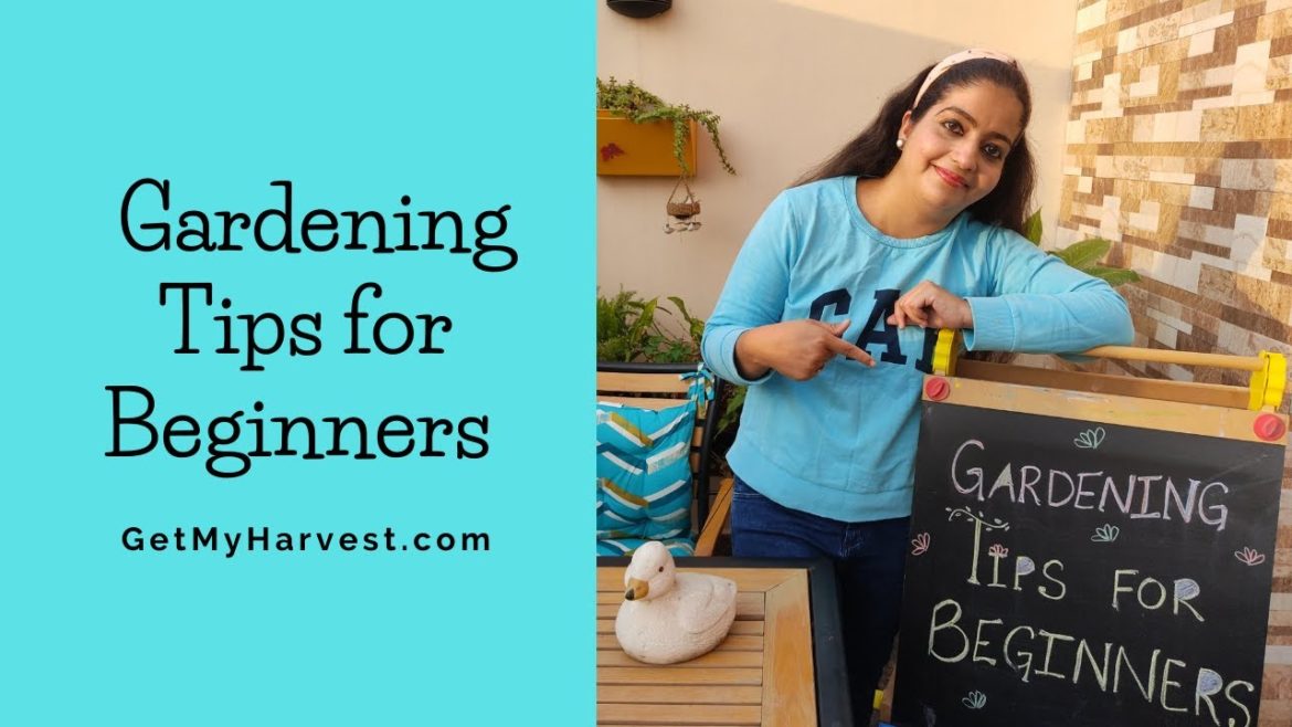 Gardening Tips for Beginners | Getting Smarter Than Your Maali or Gardeners π‘π©βπΎπ Gardening Tips for Beginners | Getting Smarter Than Your Maali or Gardeners π‘π©βπΎπ