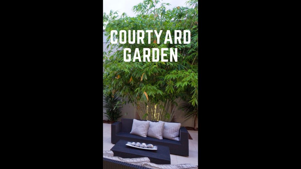 Stunning Small Courtyard Garden Design Ideas #YoutubeShorts #Shorts Landscape Makeover & Renovation