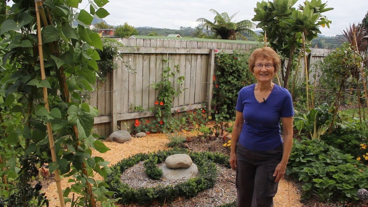 Edible paradise on only 30 square metres: Marie Manning's Super-productive home garden