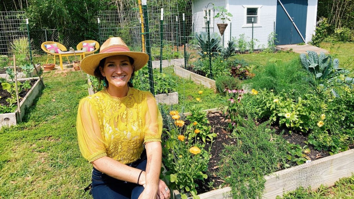 Beginner Gardener’s Guide to Vegetable Gardening