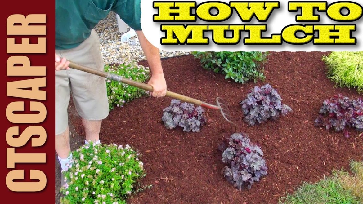 HOW TO MULCH A NEW LANDSCAPE