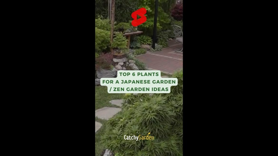 Top 8 Plants for a Japanese Garden // Zen Garden Ideas πΈπΏ #short #shorts Top 8 Plants for a Japanese Garden // Zen Garden Ideas πΈπΏ #short #shorts