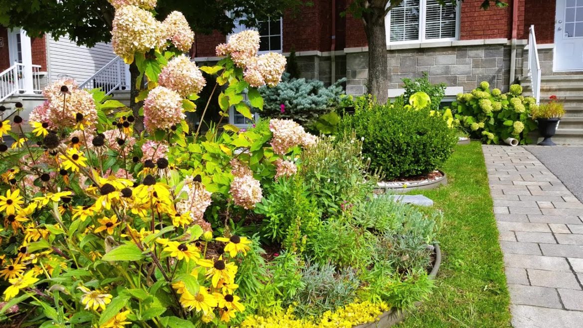 October Front Yard Garden Tour | Perennial Garden Color Is Changing