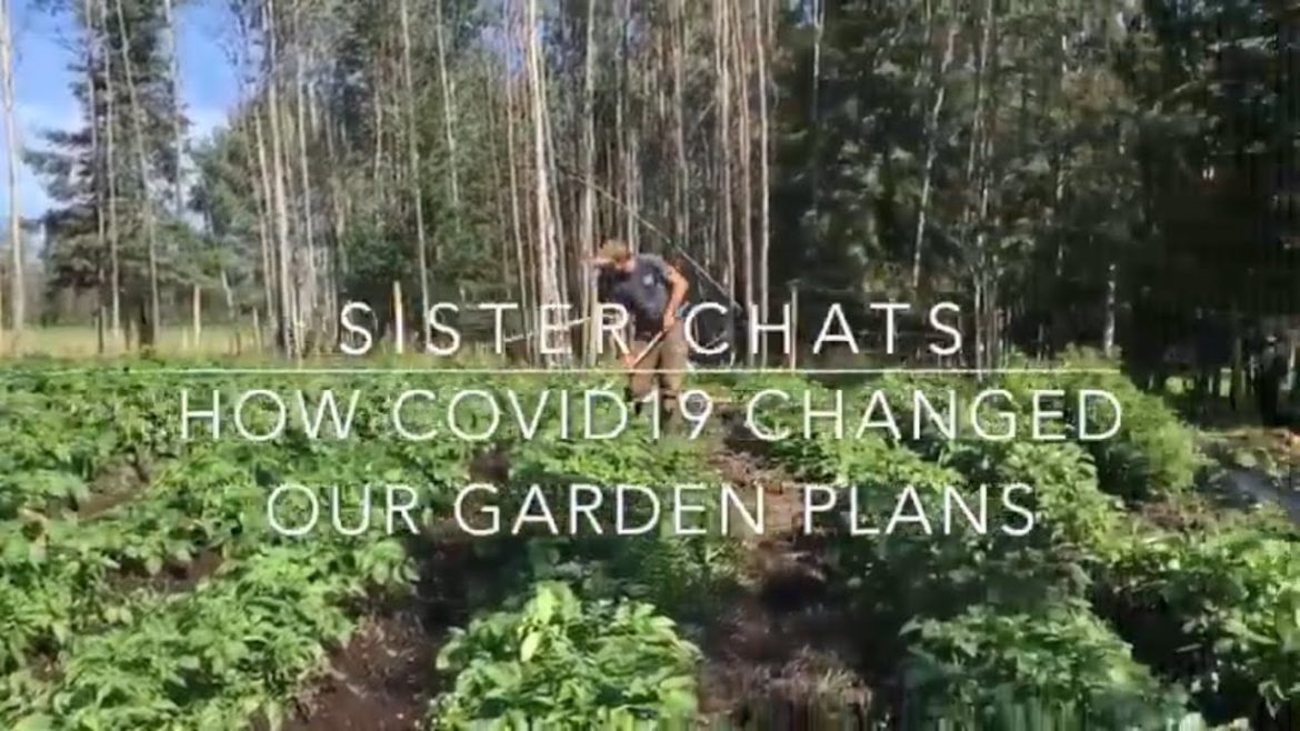 How COVID19 Changed Our Garden Plans {Sister Chat} How COVID19 Changed Our Garden Plans {Sister Chat}