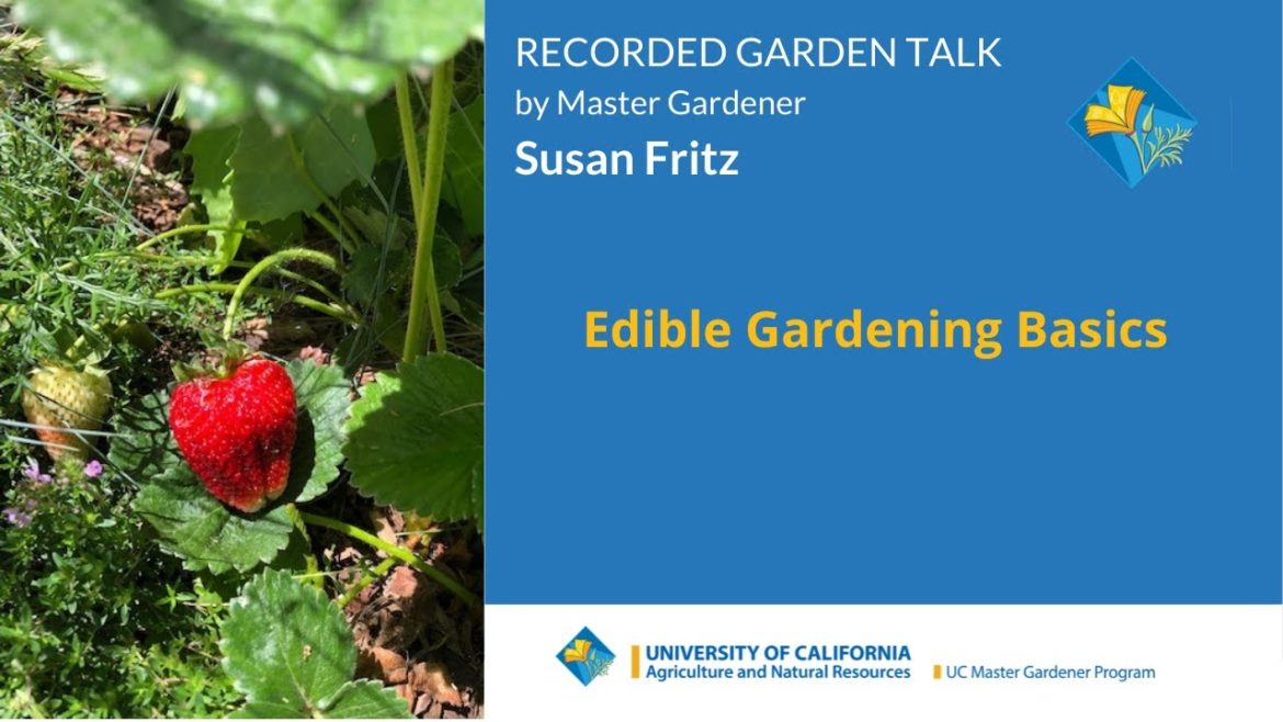 Edible Gardening Basics