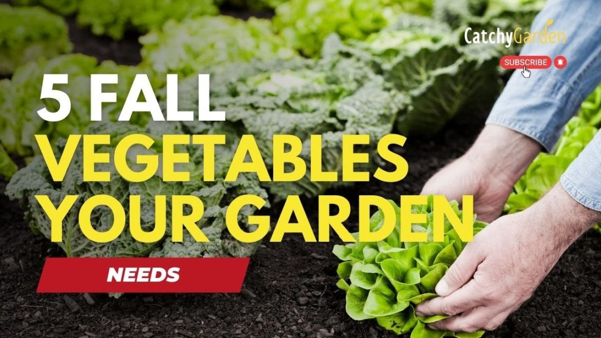 5 Fall Vegetables Your Garden Needs βοΈπ±π // Part 1 5 Fall Vegetables Your Garden Needs βοΈπ±π // Part 1