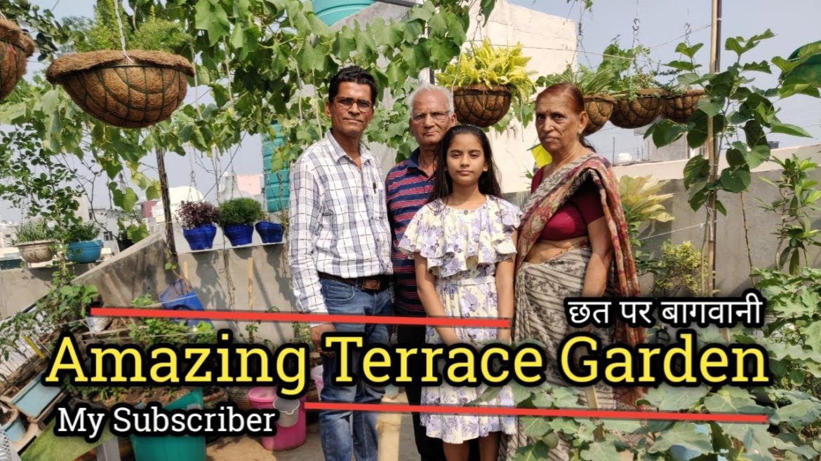 Amazing Terrace Indian Gardening | छत पर बागवानी | Vegetable Gardening