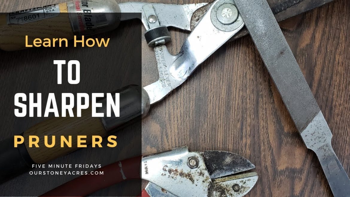 How to Sharpen Pruners - Garden Tool Care