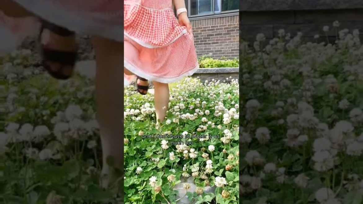 Front Yard Veggie Garden #shorts #frontyard #garden Front Yard Veggie Garden #shorts #frontyard #garden