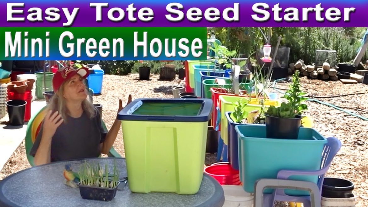 Mini Green House Container Gardening EASY Tote Lid Cold Frame to Start Seeds & Plants in the Garden