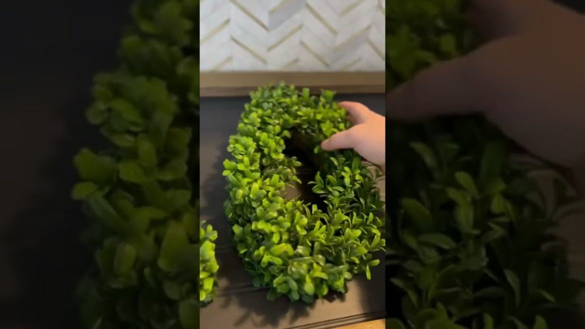 #shorts What do you think? Also this audio is 10/10 #DIYproject #porch