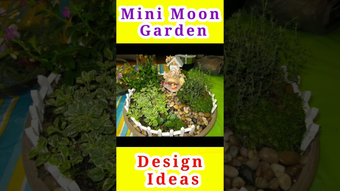 Mini Moon Garden Design Ideas ।।